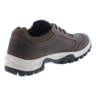 Ecco 811434 Xpedition III bruin
