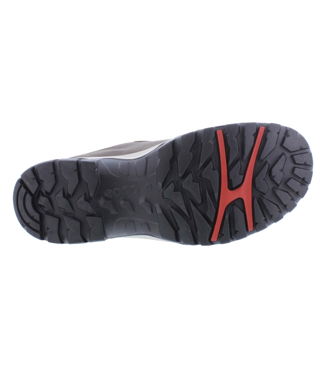 Ecco 811434 Xpedition III bruin