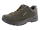Lowa 311867 Renegade Evo GTX Lo olive