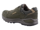 Lowa 311867 Renegade Evo GTX Lo olive