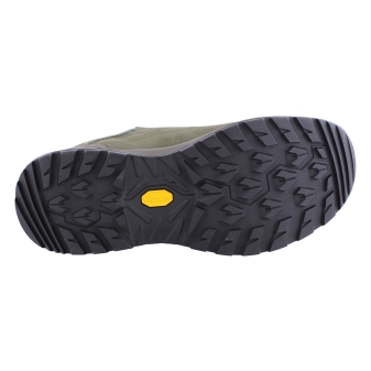 Lowa 311867 Renegade Evo GTX Lo olive
