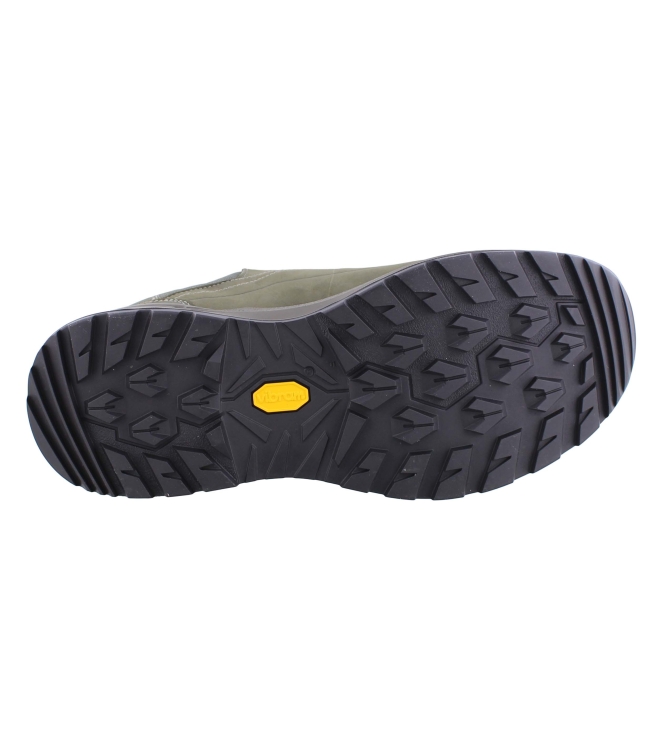 Lowa 311867 Renegade Evo GTX Lo olive