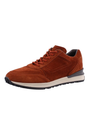 Greve 7258 bruin