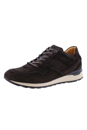 Greve 7243.25 bruin