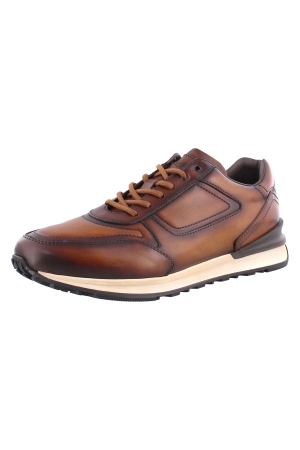 Greve 7258.88-001 bruin
