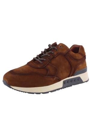Greve 4289.88-001 bruin