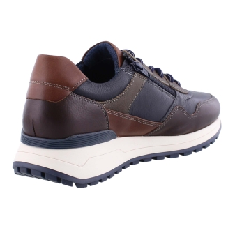 Ara 11-26801-02 bruin