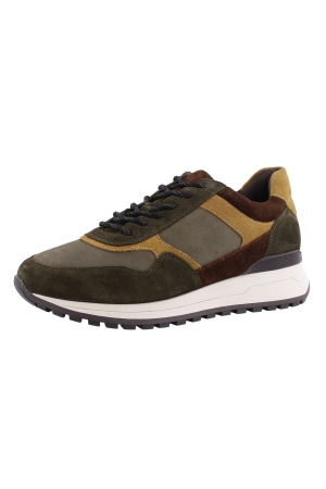 Ara 11-26801-16 olive