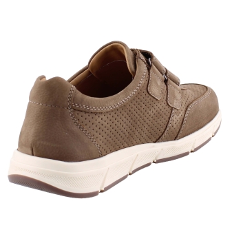 Solidus 67011 Kai beige