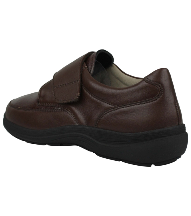 Solidus 87515 bruin