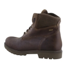 Panama Jack Amur Gtx bruin