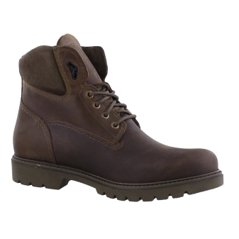 Panama Jack Amur Gtx bruin