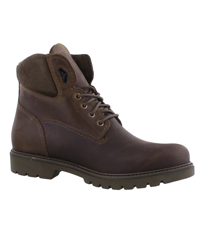 Panama Jack Amur Gtx bruin