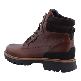 PME PBO2409201 bruin