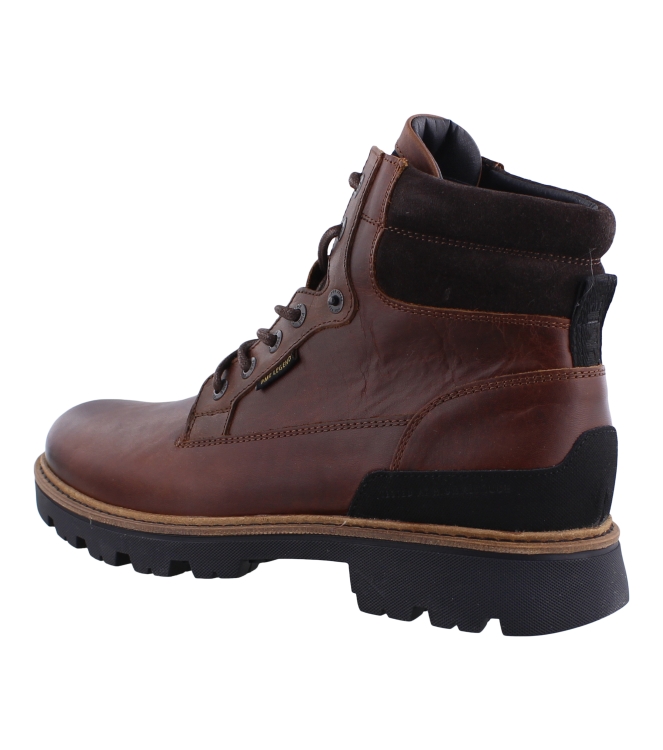 PME PBO2409201 bruin
