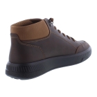 Ecco 551634 MOVE bruin