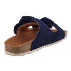 Verbenas Rain blauw