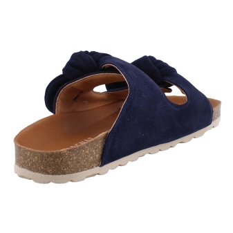 Verbenas Rain blauw