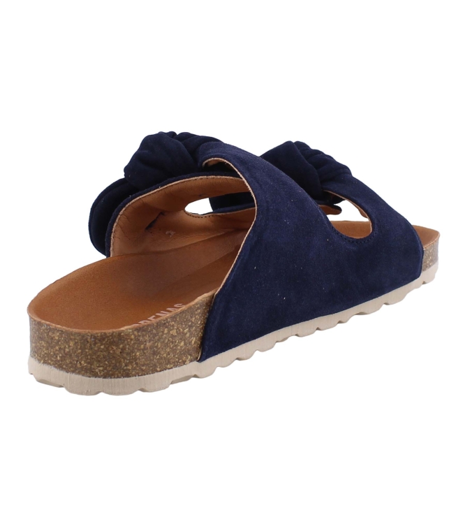 Verbenas Rain blauw
