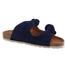 Verbenas Rain blauw