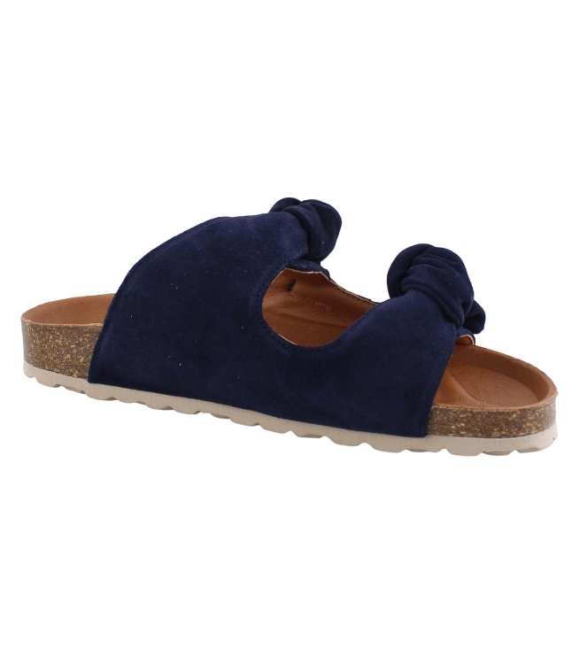 Verbenas Rain blauw