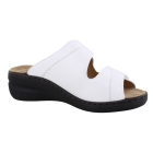Solidus 21104 Spezial wit