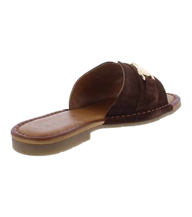 Ara 12-27904-03 bruin