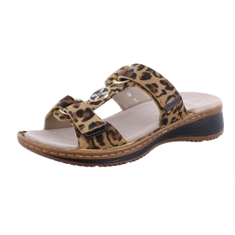 Ara 12-29003-98 bruin