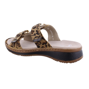 Ara 12-29003-98 bruin
