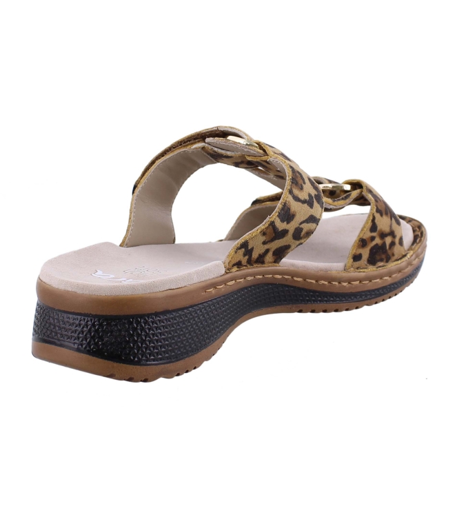 Ara 12-29003-98 bruin