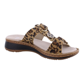Ara 12-29003-98 bruin