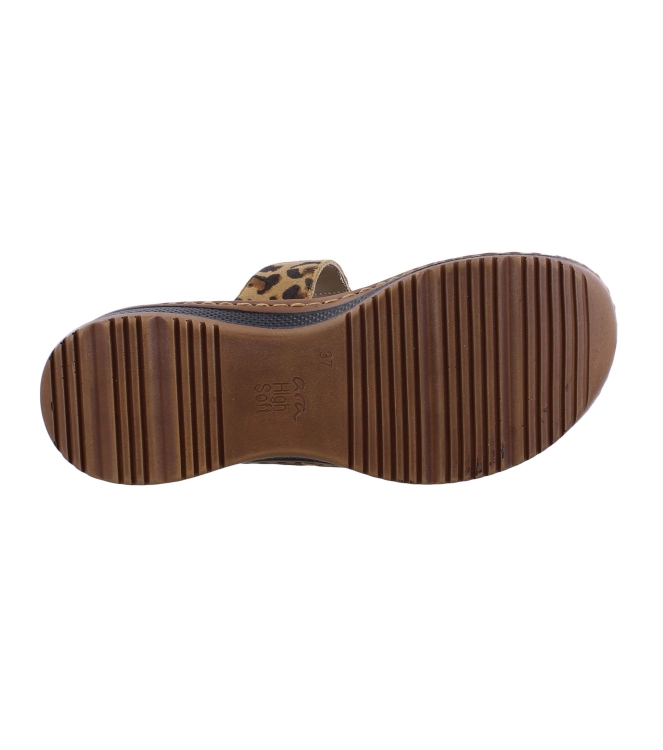 Ara 12-29003-98 bruin
