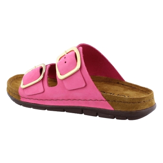 Rohde 5879 rose