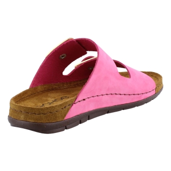 Rohde 5879 rose