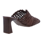 Hispanitas HV264789 Amapola bruin