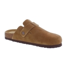 Nou 264437 Corwin bruin