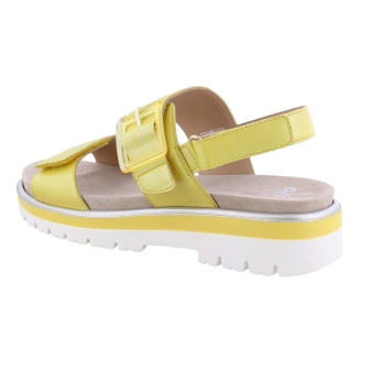 Ara 12-21003-07 geel