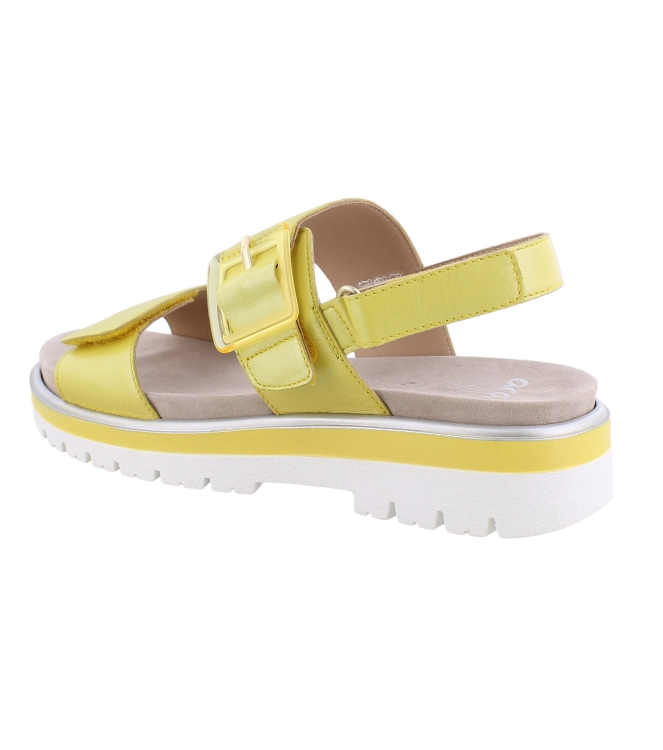 Ara 12-21003-07 geel