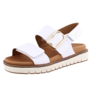 Mephisto Belona wit