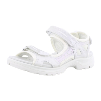 Ecco 069563 Offroad wit