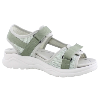 Solidus 62212 off white