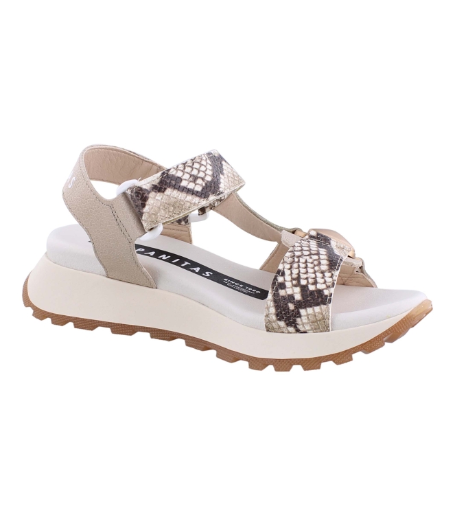 Hispanitas HV253896 taupe