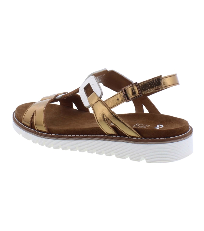 Ara 12-28136-08 bruin