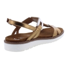 Ara 12-28136-08 bruin
