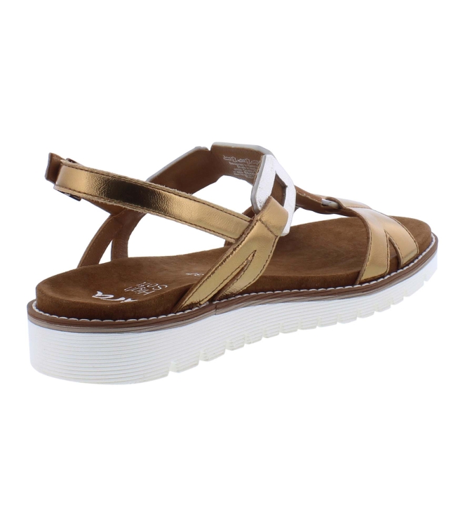 Ara 12-28136-08 bruin