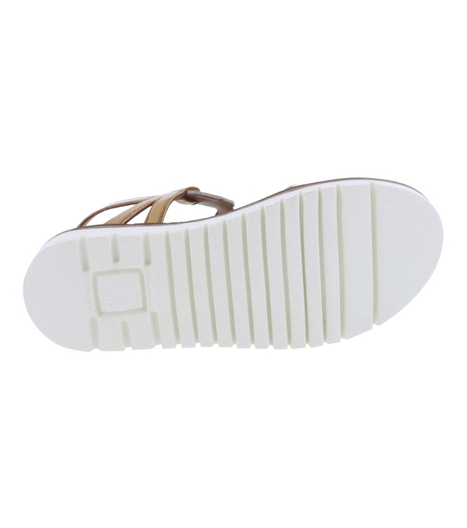 Ara 12-28136-08 bruin