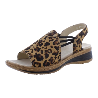 Ara 12-29005-26 bruin