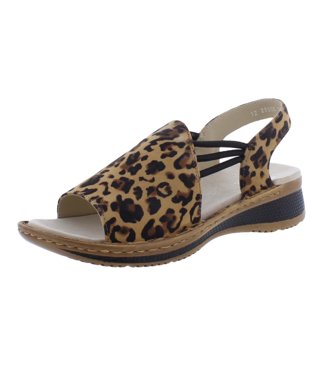 Ara 12-29005-26 bruin