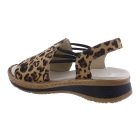 Ara 12-29005-26 bruin