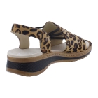 Ara 12-29005-26 bruin